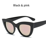 Cat Eye Women Sunglasses Tinted